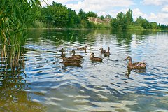 25064c8cc465b333dade24967c65d337.jpg